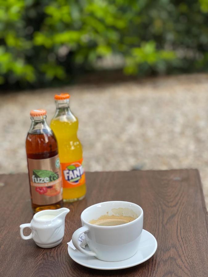 那沃达利 Ametist Casa Leului酒店 外观 照片