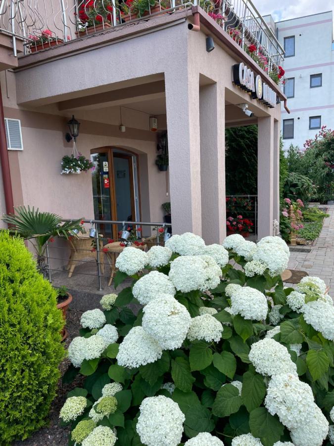 那沃达利 Ametist Casa Leului酒店 外观 照片