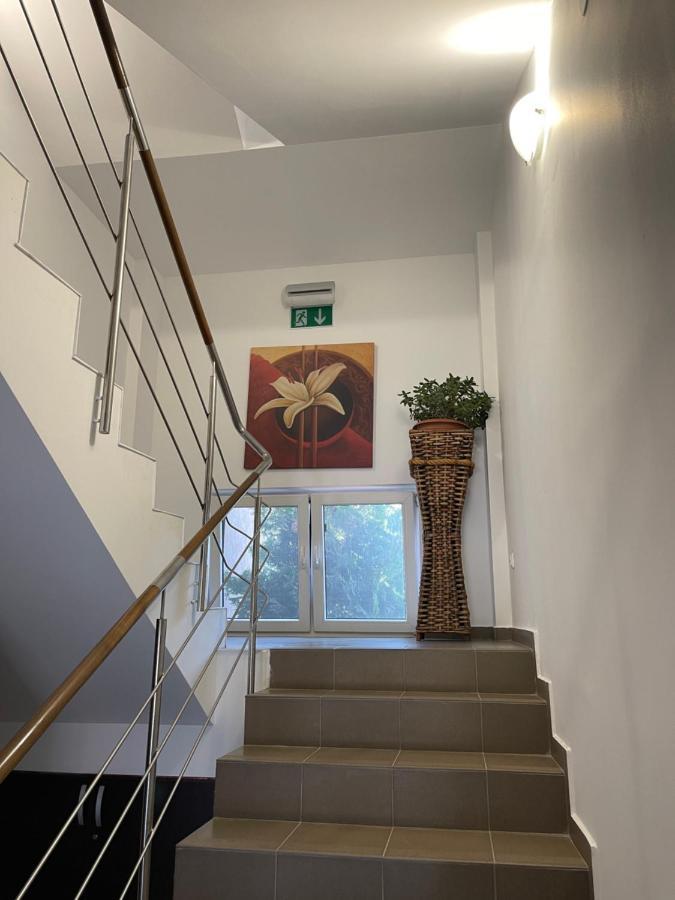 那沃达利 Ametist Casa Leului酒店 外观 照片